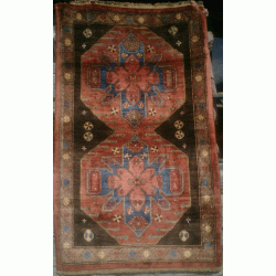 Caucasian Design Carpet